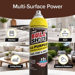 Bull Shot All-Purpose Professional Strength Foam Multi-Surface Dirt & Grime