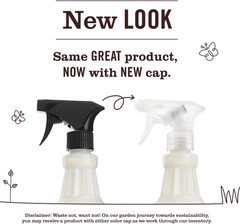 CLEAN DAY Multi-Surface Everyday Cleaner, Clementine Scent, 16 Fl Oz Bottle