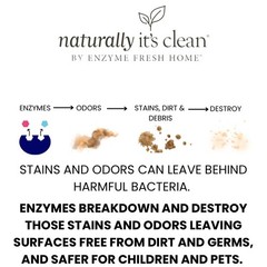 Plant-Based Carpet Cleaner for Pet Stains, Odors & Grease – 24oz Spray 2-Pack