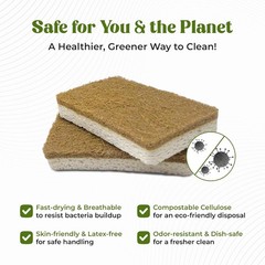 12 Pack Natural Kitchen Sponges – Biodegradable, Compostable, Sustainable Wood