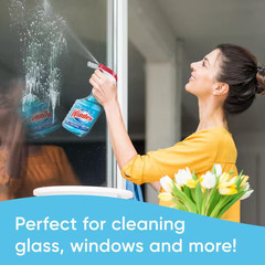128 Oz. Commercial Original Glass Cleaner Refill.