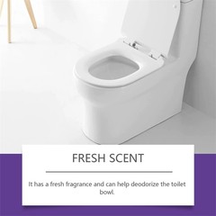 Fizzclean Toilet Foam Cleaner, Toilet Cleaning Foam Insta-Action 100g 2026 USA