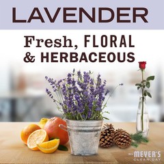 Lavender Multi-Surface Cleaner, Cruelty-Free, 16 oz, 3 Pack