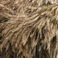 2PCS 13inch Ostrich Feather Duster Durable Dust Collecting Cleaning Tools USA