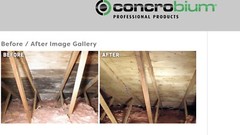 Concrobium Mold Stain Remover