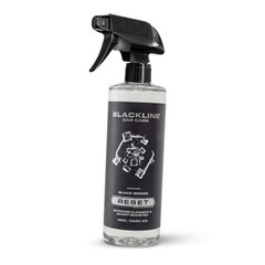 Luxury Scented Leather Interior Car Cleaner 16 Fl Oz (Pack of 1) Dark Ice