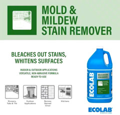 ECOLAB Mold & Mildew Stain Remover, Indoor & Outdoor, Made In USA – 2 Gallon