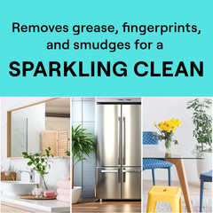 Seventh Generation Glass Cleaner Sparkling Seaside Spray 23 oz 4-Pack New