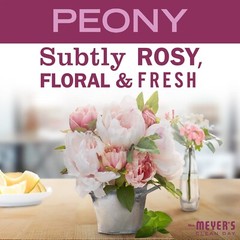 Mrs. Meyer’s Liquid Dish Soap Refill, Biodegradable Formula, Peony, 48 fl. oz