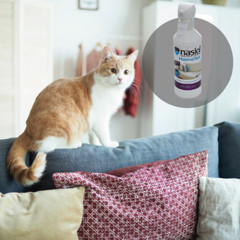 Nasiol HomeTex Water Repellent Nano Textile Protector (500 ml)