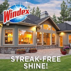 Outdoor All-in-One Window Cleaner Pads Refill – 2 Count for Streak-Free Shine