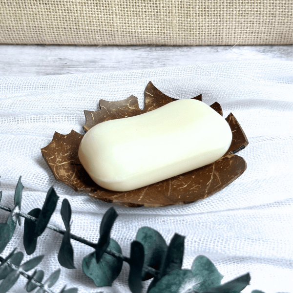 soap_dish_leaf_1