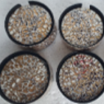 Crackle Glaze Coasters